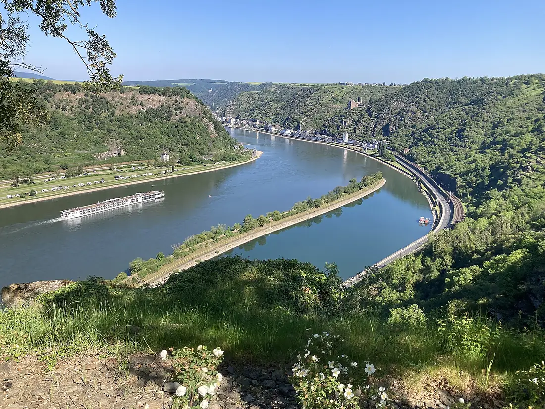 Blick von Loreley nach Norden 2026a
