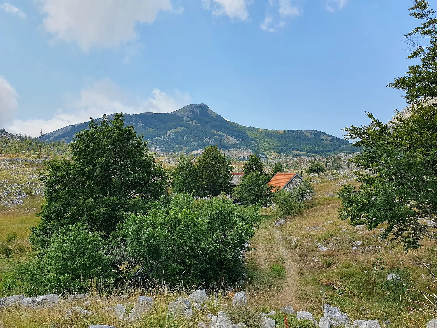 2023 Lovćen national park 1