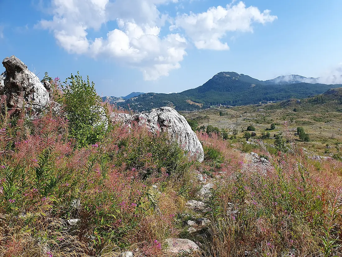 2023 Lovćen national park 3