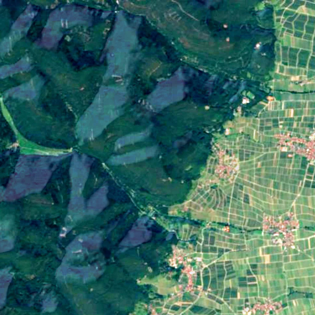 Ludwigs Tower seen from above (Sentinel-2)