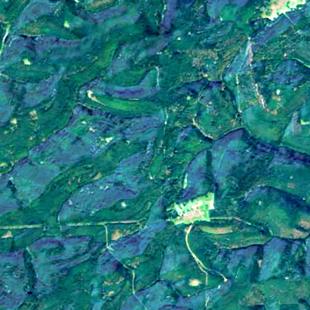Luitpold tower seen from above (Sentinel-2)