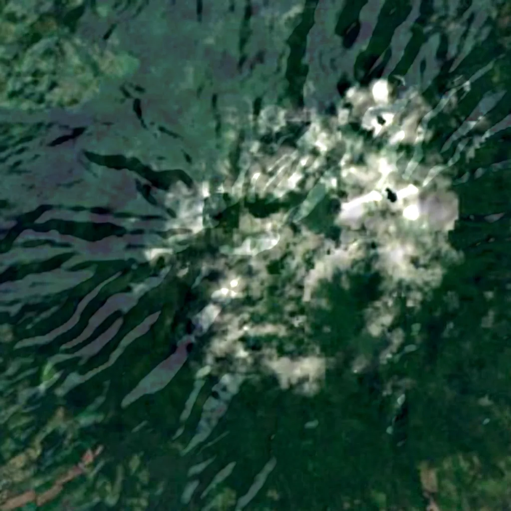 Maderas seen from above (Sentinel-2)