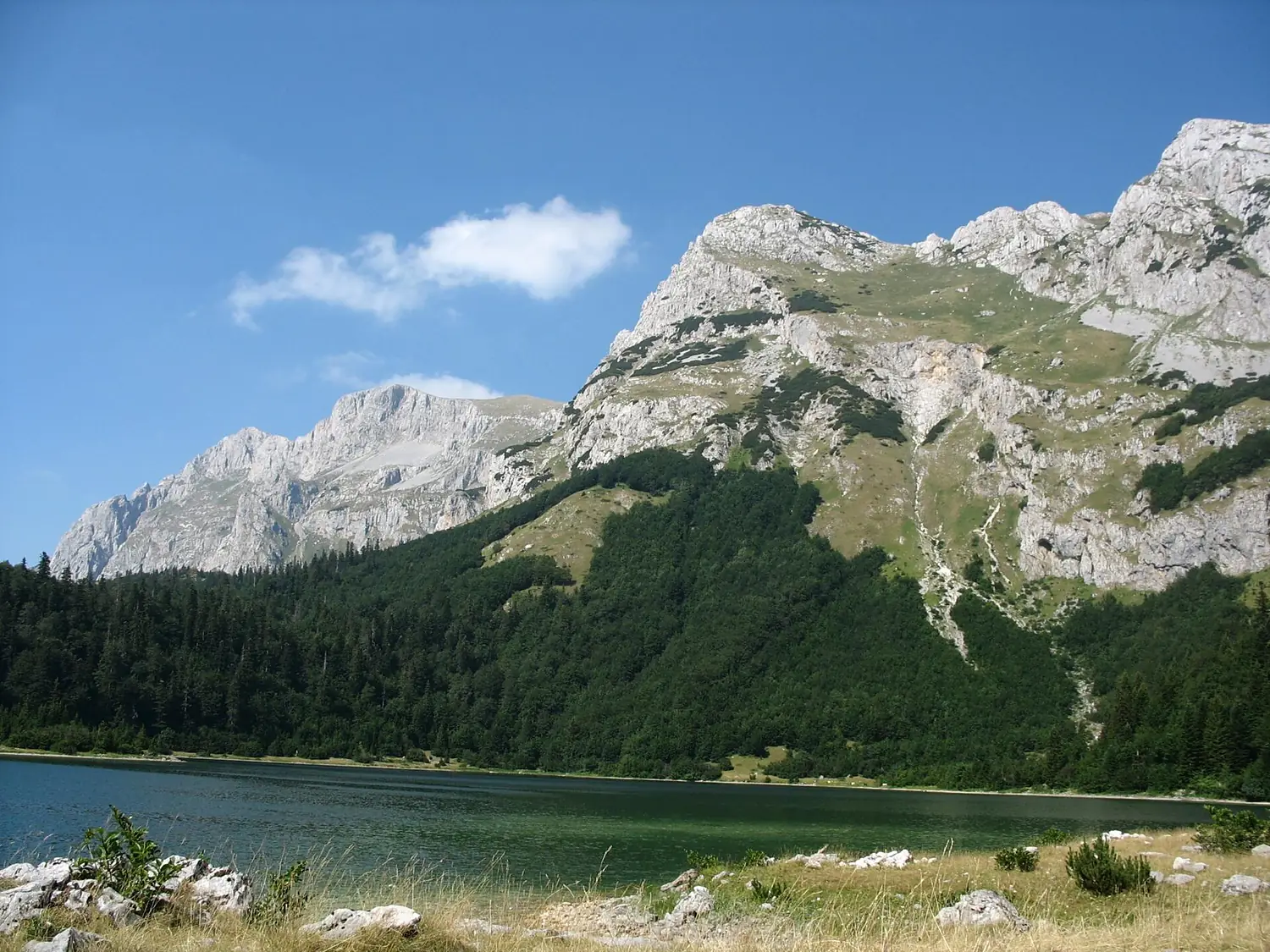Trnovačko jezero, Maglić