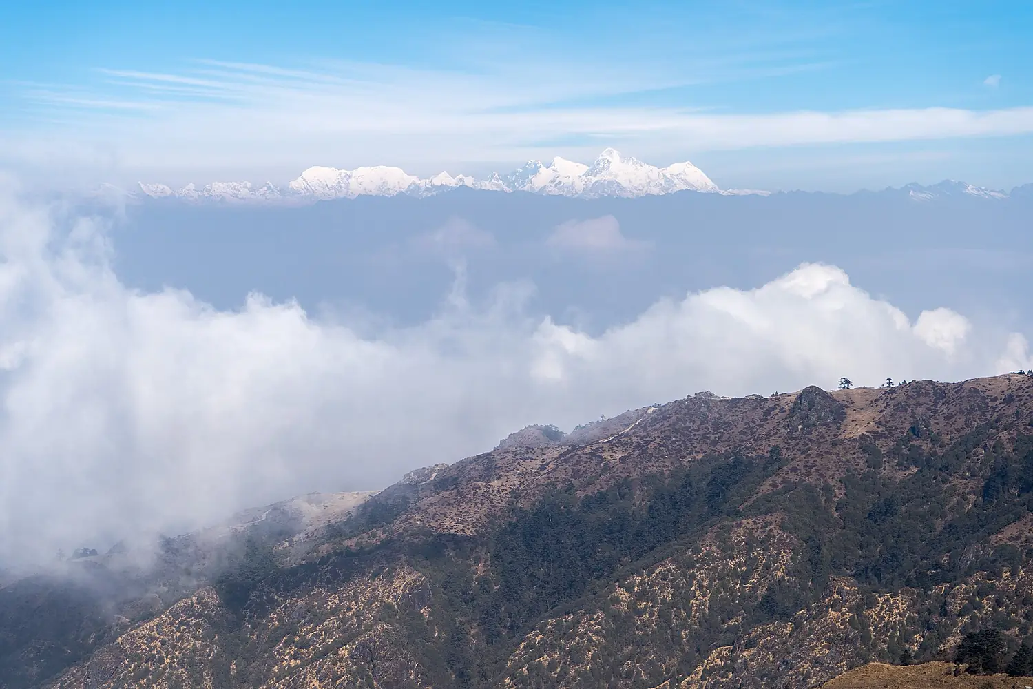 2024-03-10 Lhotse, Everest, Makalu and Chomo Lonzo seen from Singalila National Park