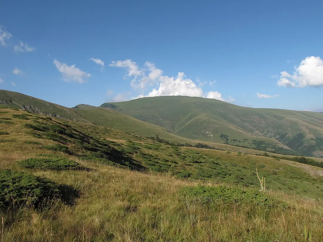 Midžor Stara planina
