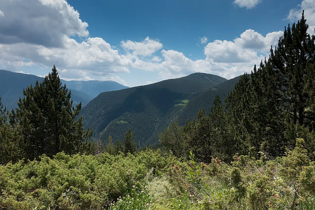 Mirador del Roc del Quer (28712111167)