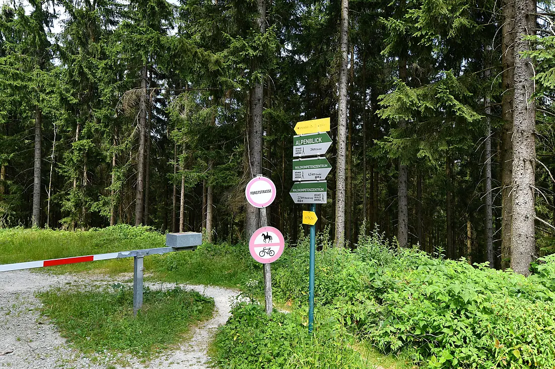 WTB 20220723 Ulrichsberg Aussichtsturm Moldaublick 9810