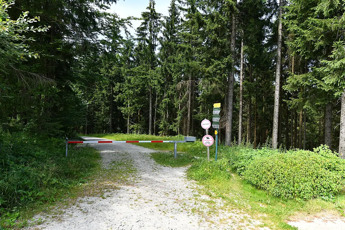 WTB 20220723 Ulrichsberg Aussichtsturm Moldaublick 9811