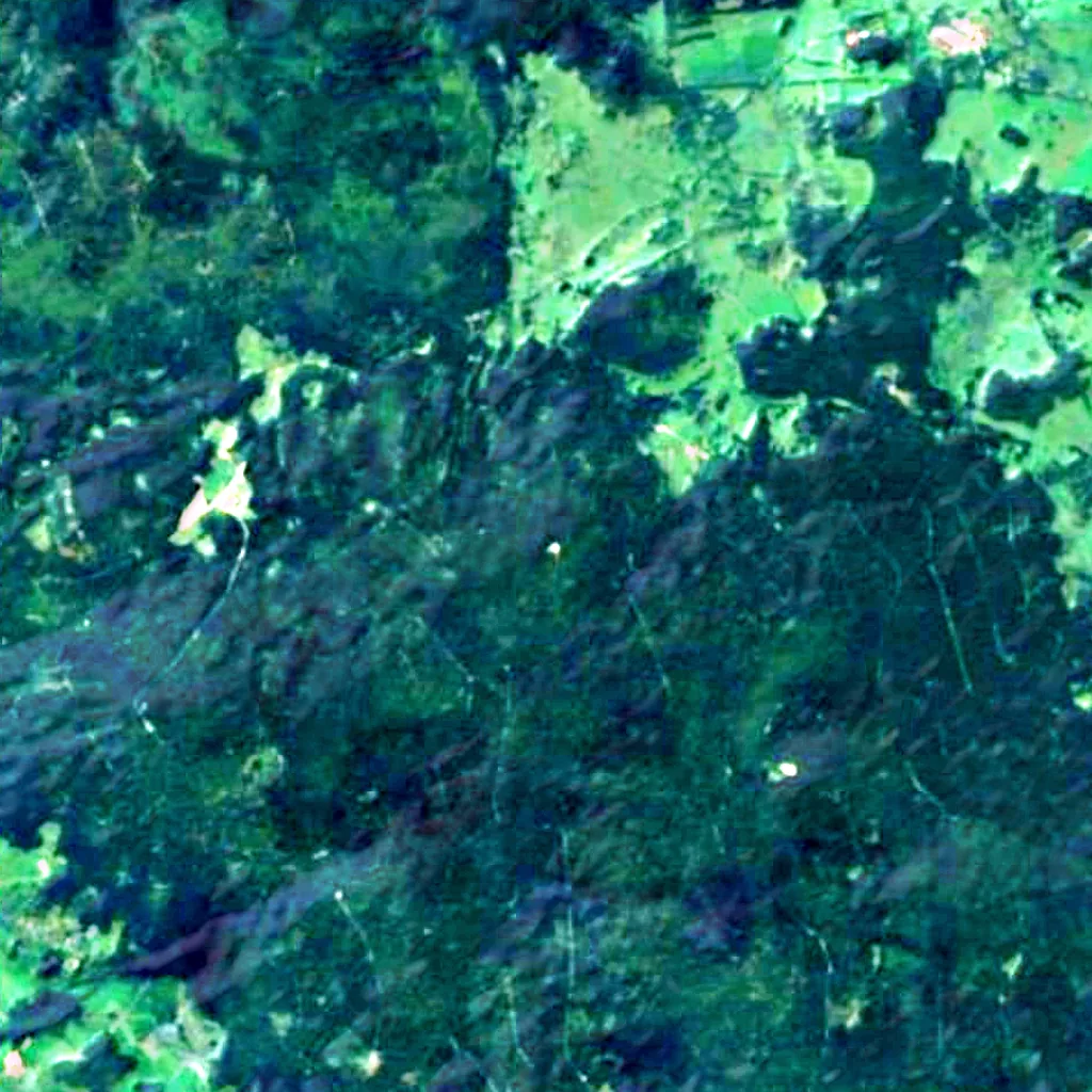 Moldaublick seen from above (Sentinel-2)