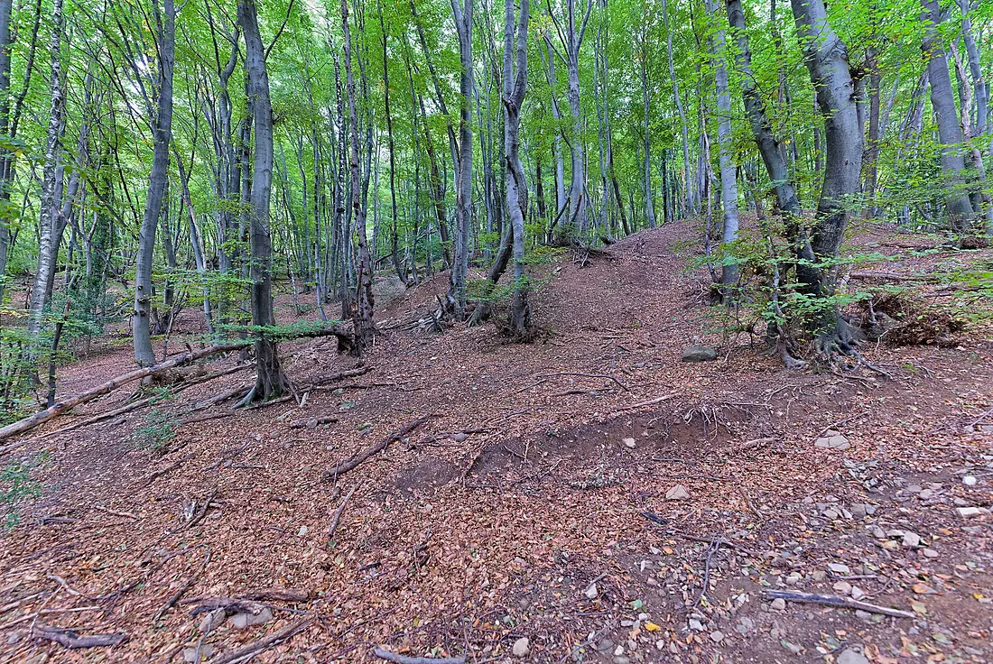 Monte San Giorgio world heritage core area in Brusino Arsizio 2022-09-29 01
