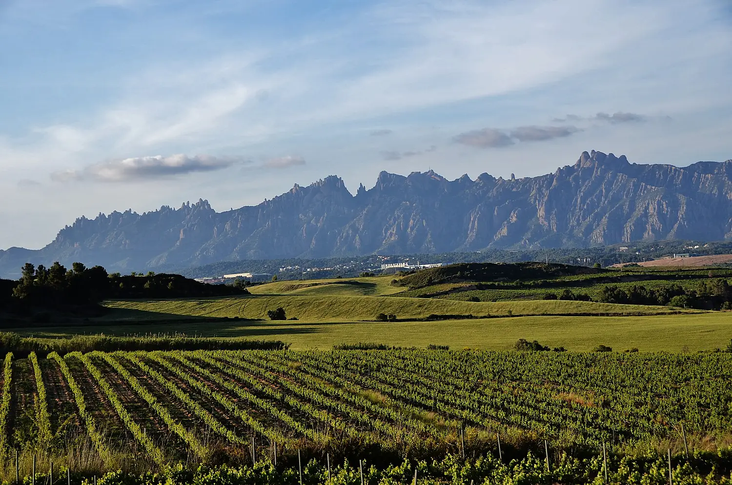 Montserrat - 100