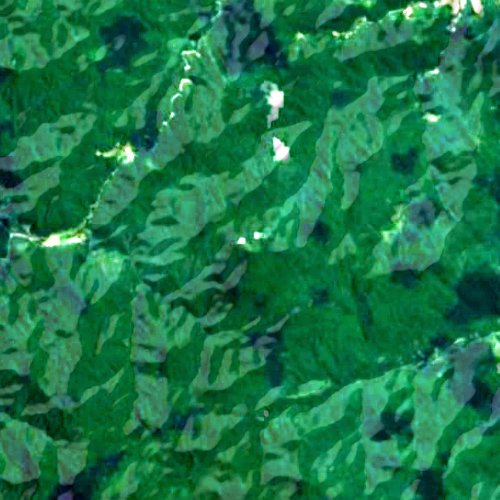 Morro Spitzkopf seen from above (Sentinel-2)