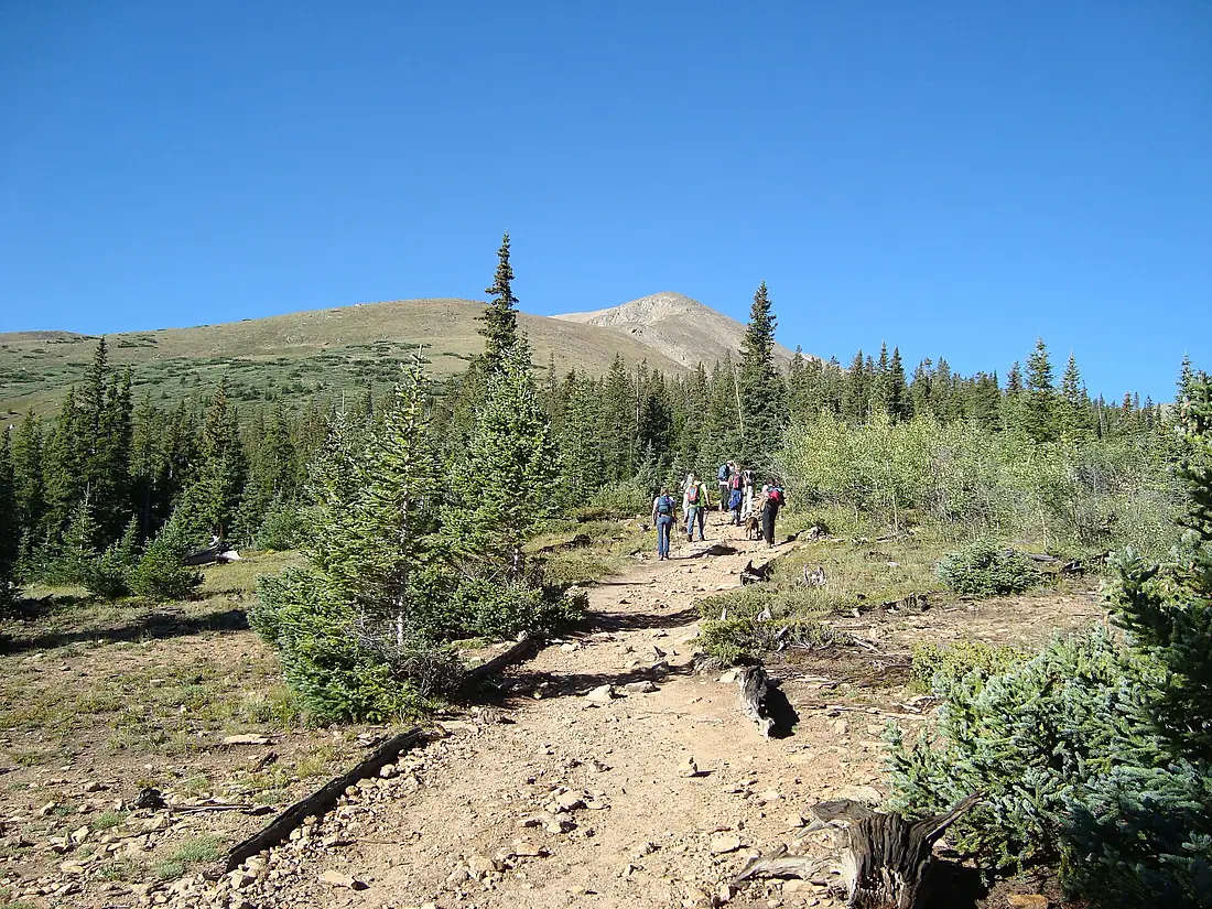 Mount Elbert Northeast Trail , border of tree line