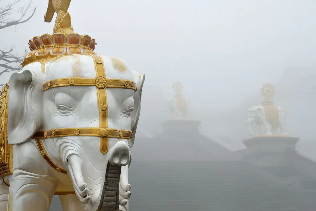 Elephant statues in the fog on the steps of the temple atop Mount Emei