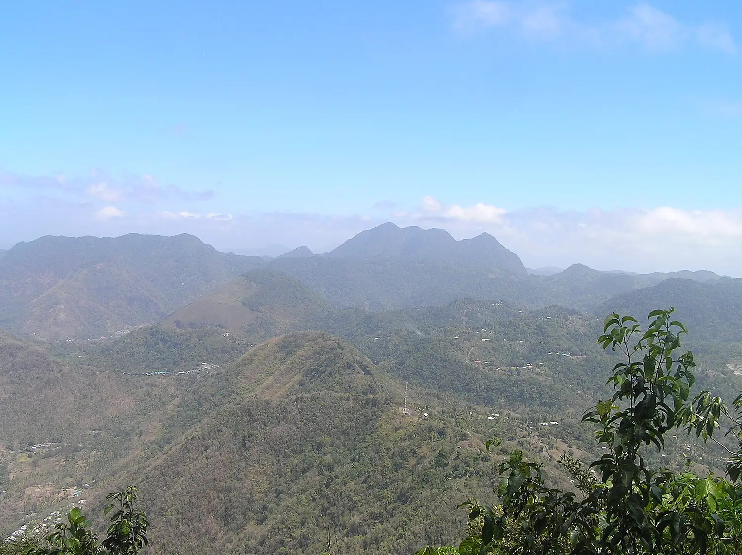 Mt. Gimie