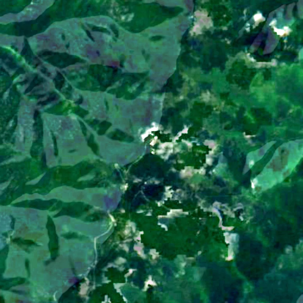 Mount Mitchell seen from above (Sentinel-2)