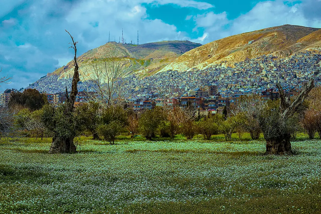 View of Mount Qasioun from Damascus Orchards
