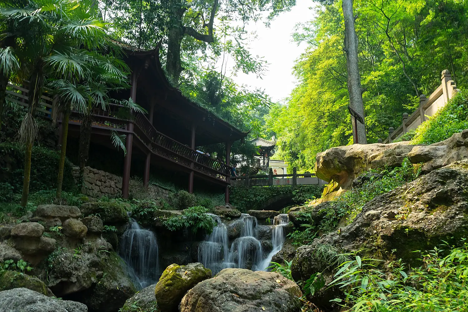 青城山 Mount Qingcheng 2017