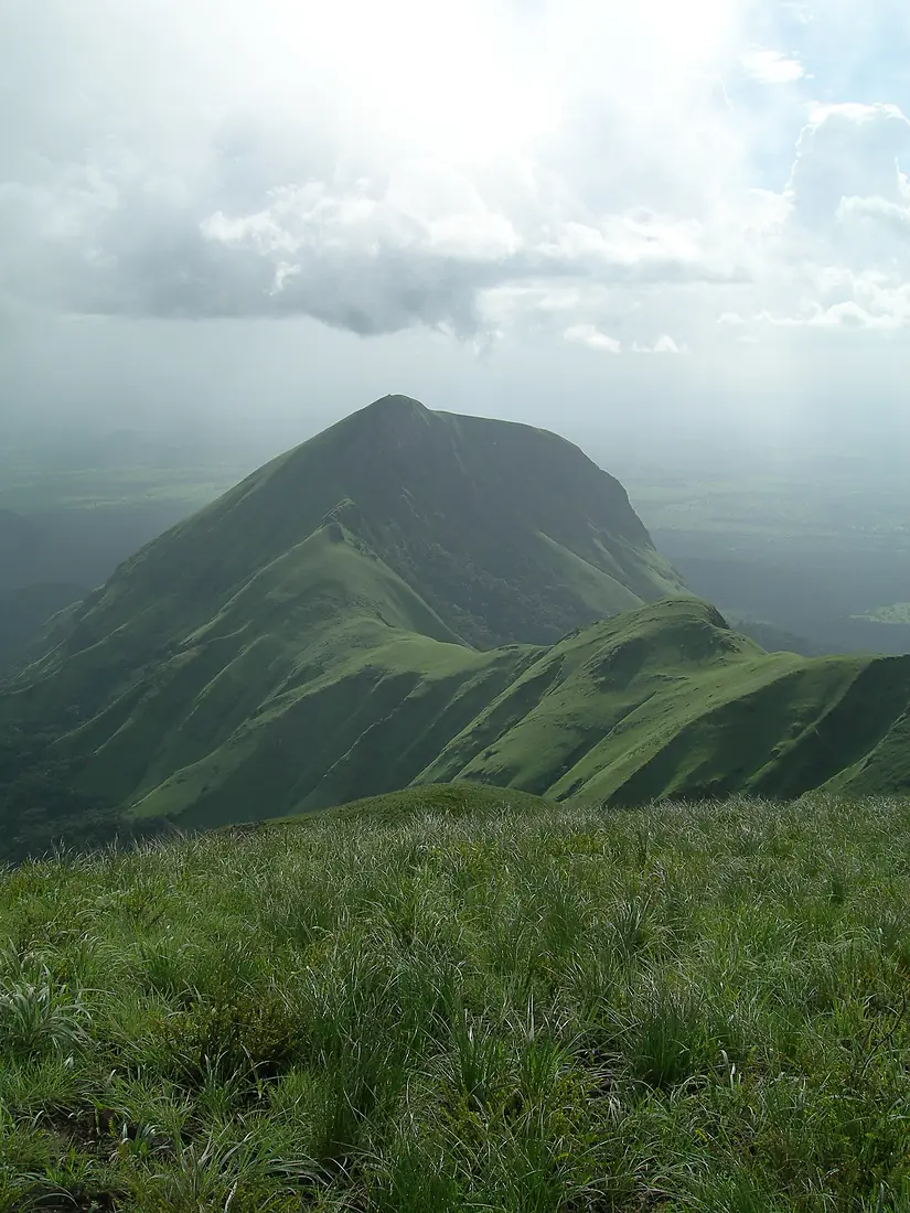 Mount Nimba Strict Nature Reserve-108445