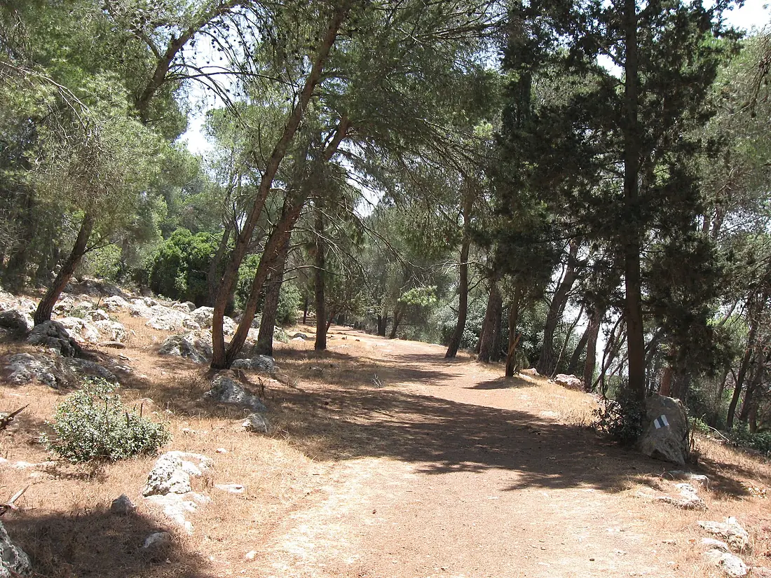 Monte Tabor 093
