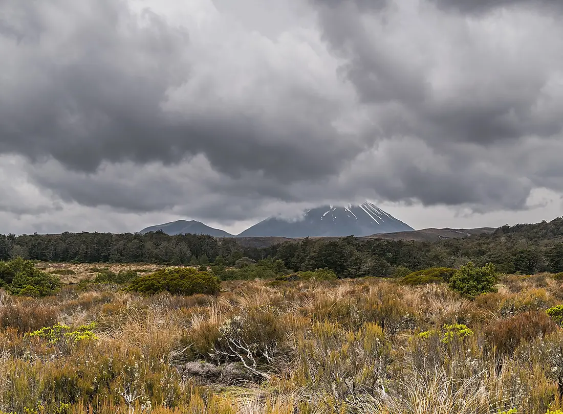 Landscape in Tongariro National Park 06