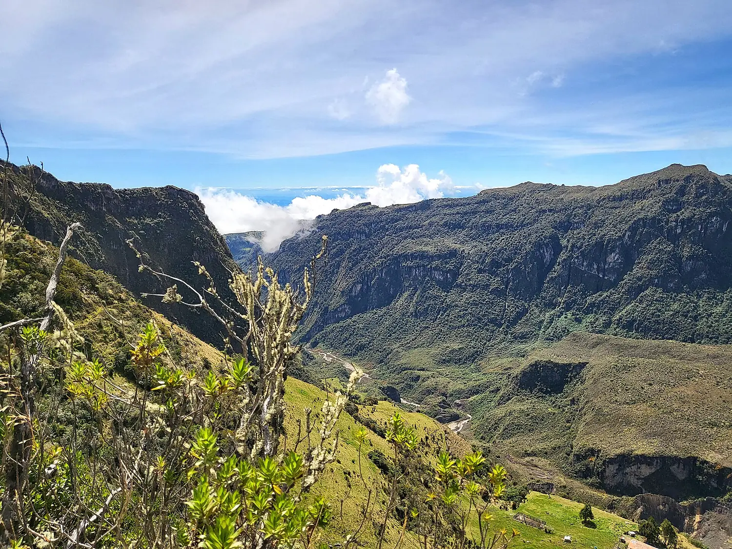 Cañón del río Lagunilla