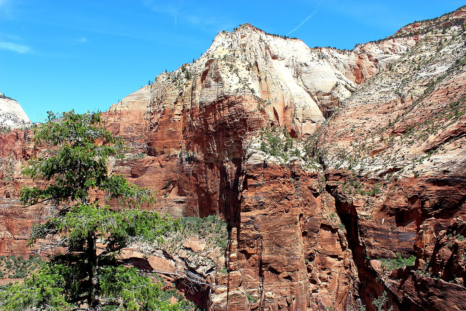Observation Point from East Mesa Trail - panoramio