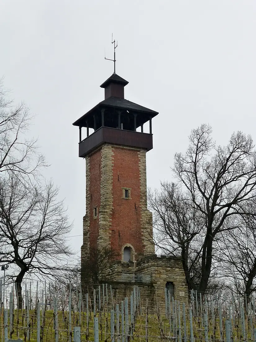 Aussichtsturm Burgholzhof-01