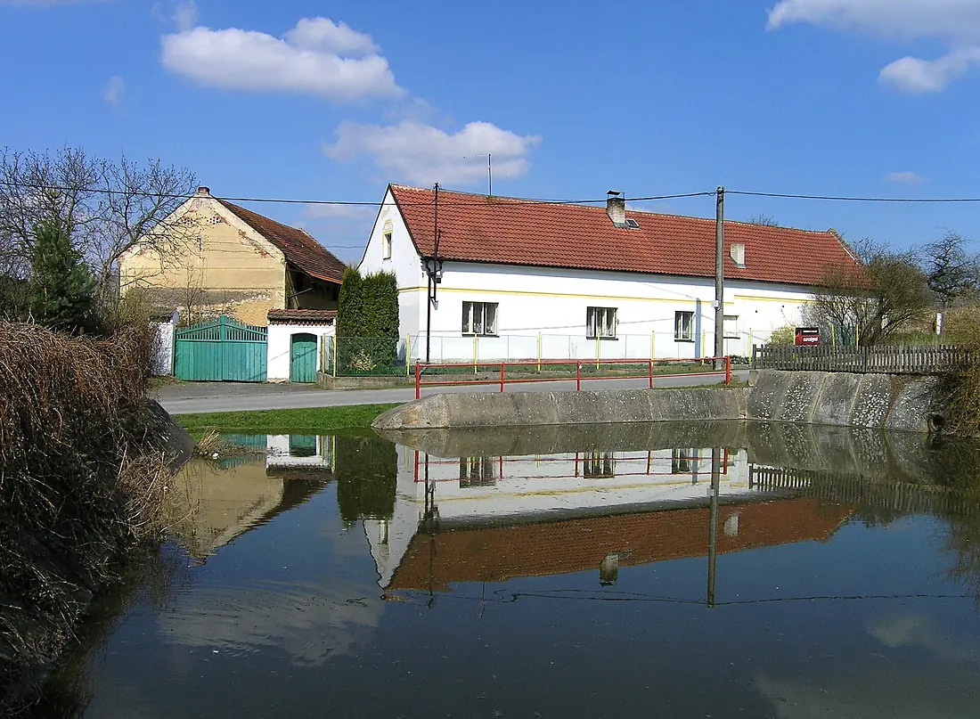 Chýňava, Lhotka u Berouna, common pond