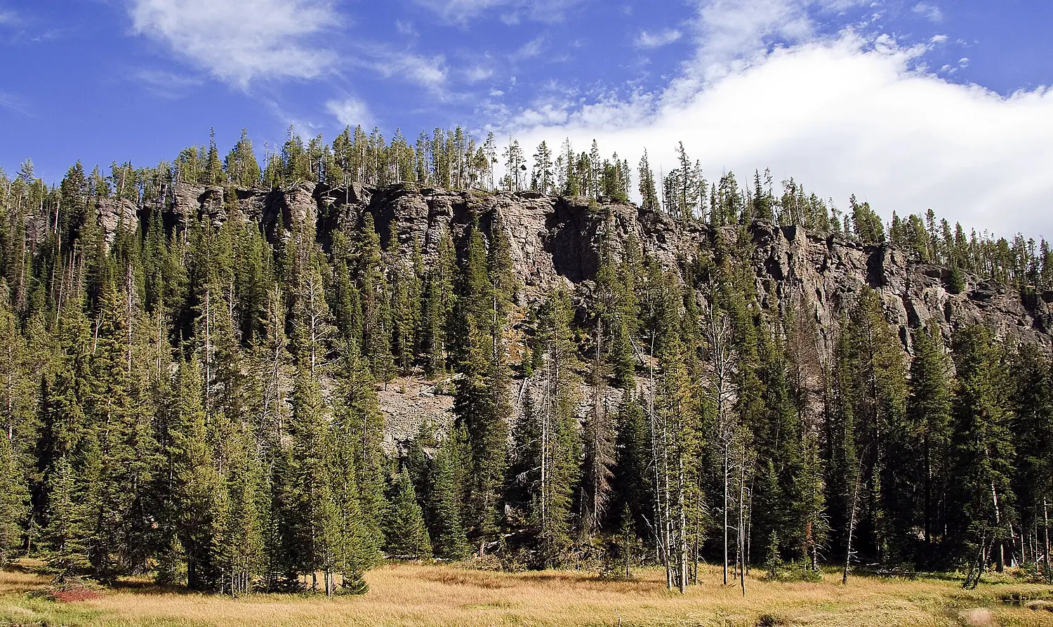 Obsidian Cliff YNP1