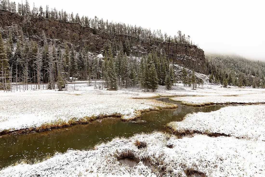 Fresh spring snow on Obsidian Cliff (51195283645)