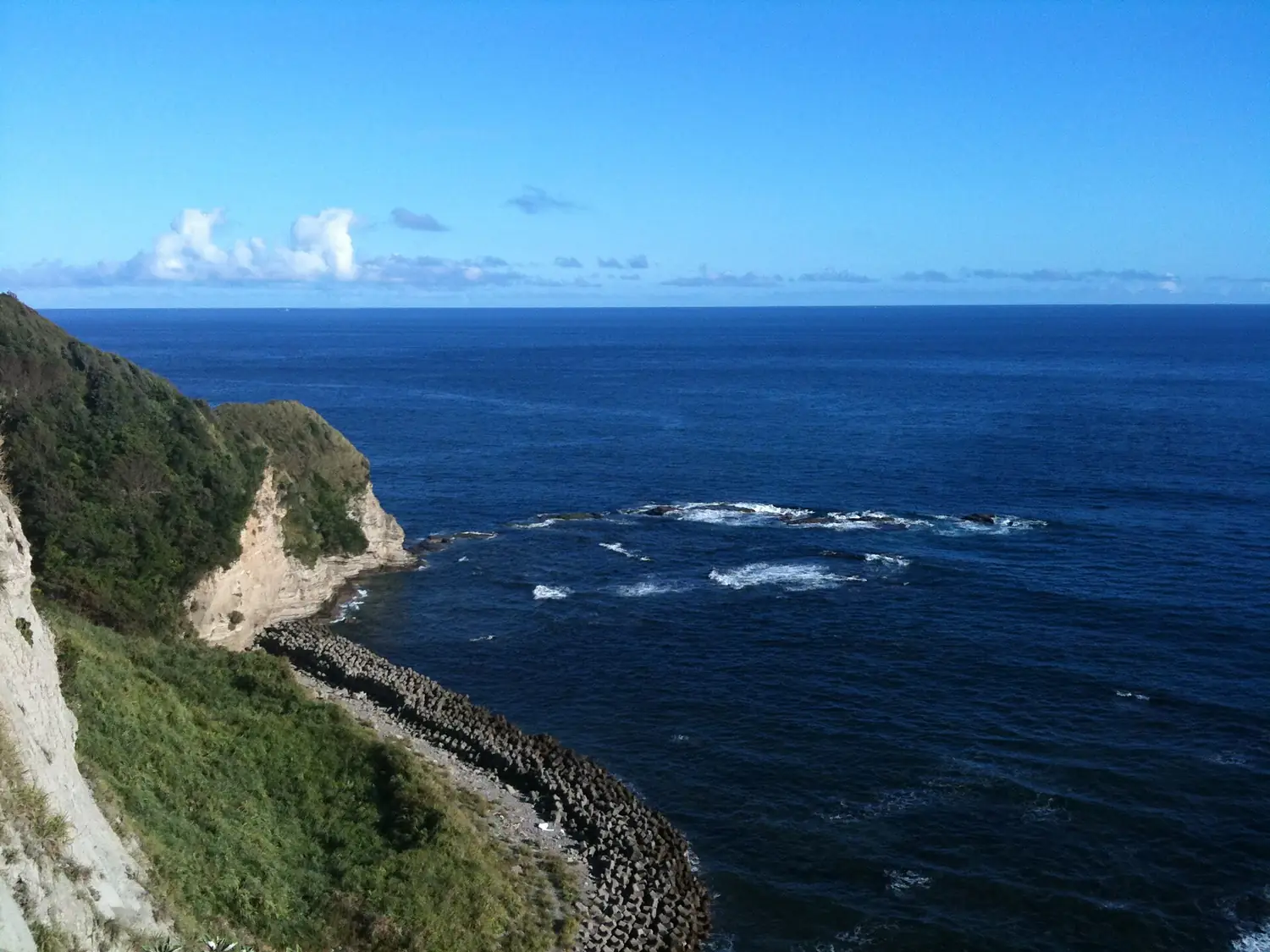 おせんころがしから太平洋を望む - panoramio (1)