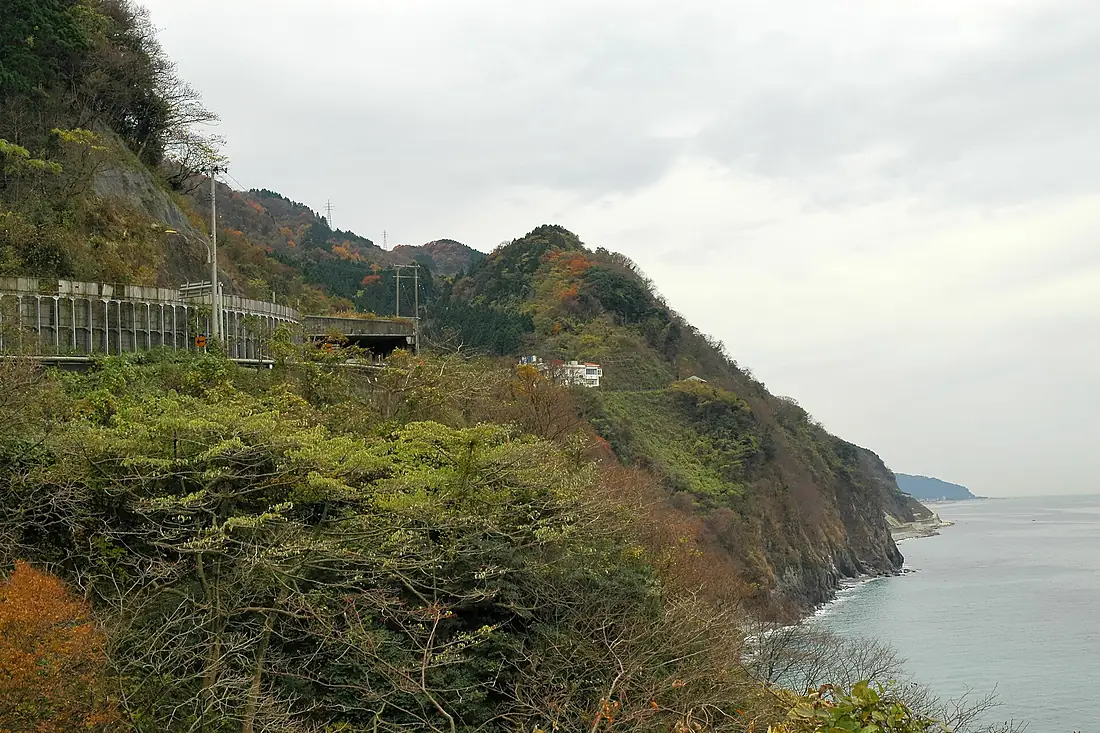 Oyashirazu 003