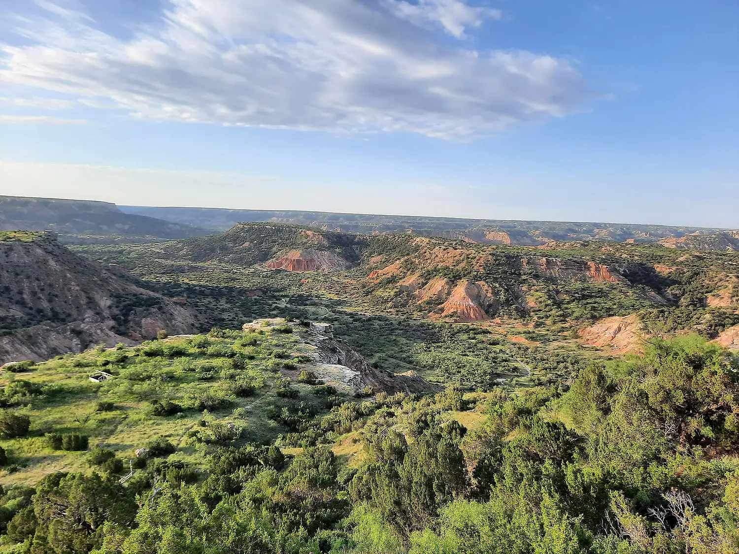 Palo Duro Siwek 10