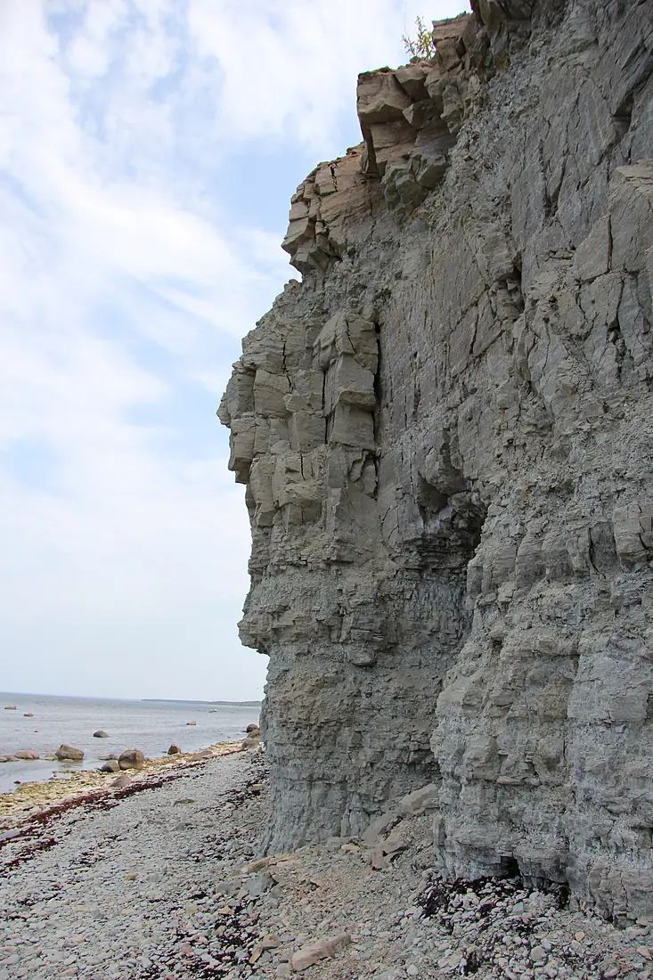 Cliff near Panga - Saaremaa in Estonia - 1