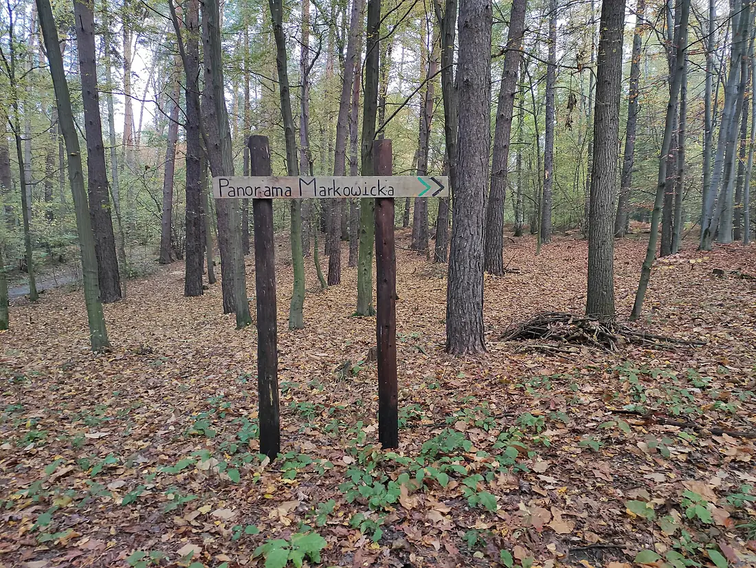 Arboretum Bramy Morawskiej, Racibórz 2