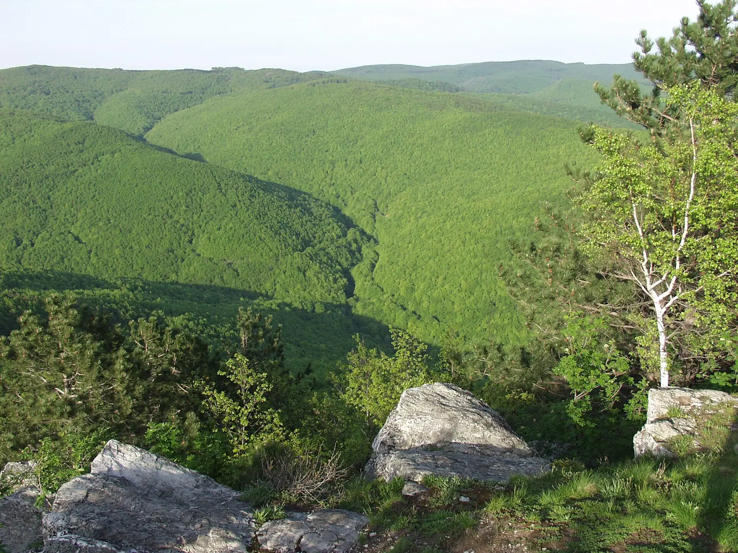 Papuk mt