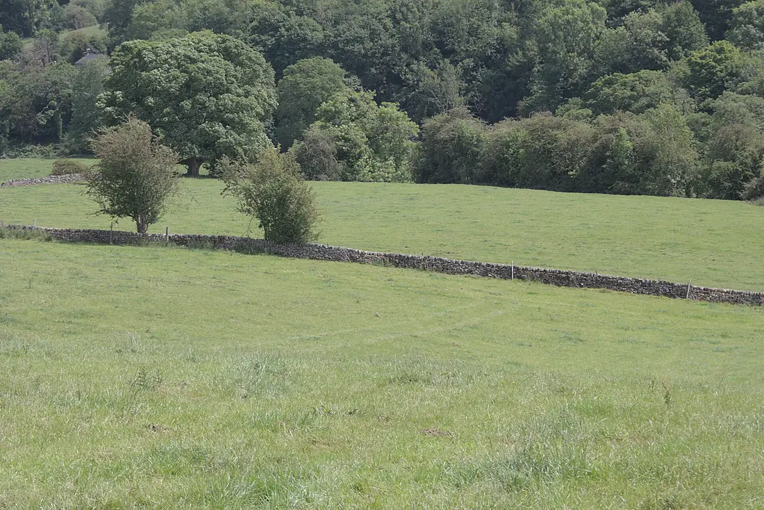 Dry stone wall (2) - 10 June 2025