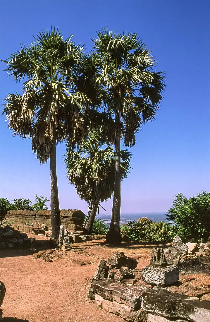 Phnom Krom 002