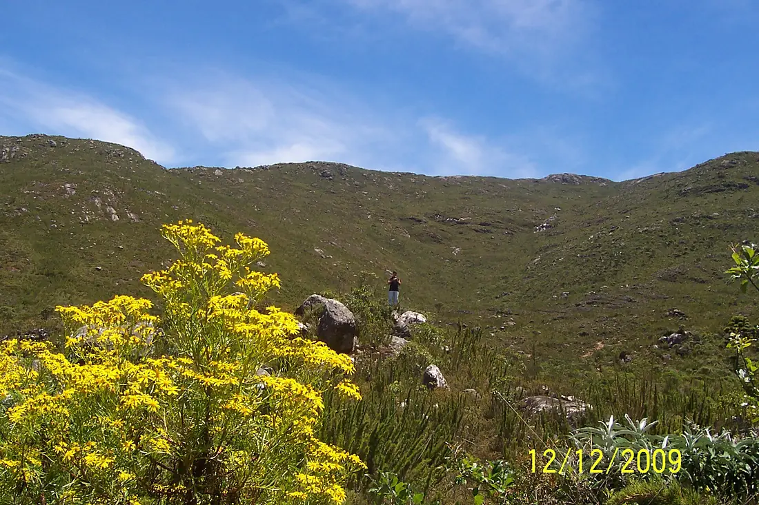 Alto do Caparaó - Pico da Bandeira 00