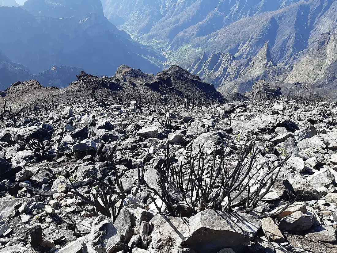Madeira-Santana-burned near Pico Ruivo-hiking trail PR 1-2 (last part)-02ESD