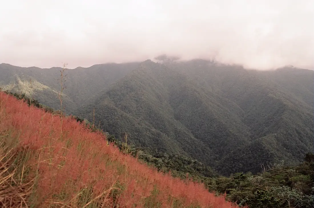 Pico Turquino cubierto por nubes - panoramio