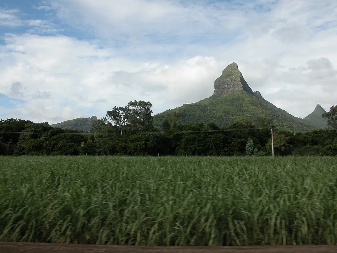 Rempart Mt.