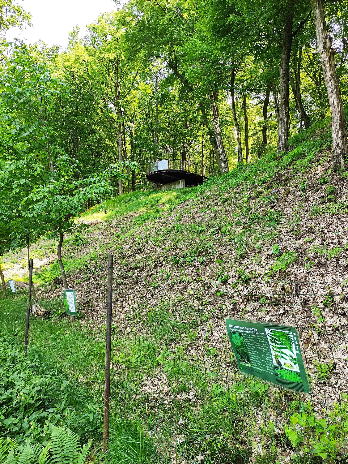 Zaczarowany Ogród, Arboretum Bramy Morawskiej, Racibórz 2