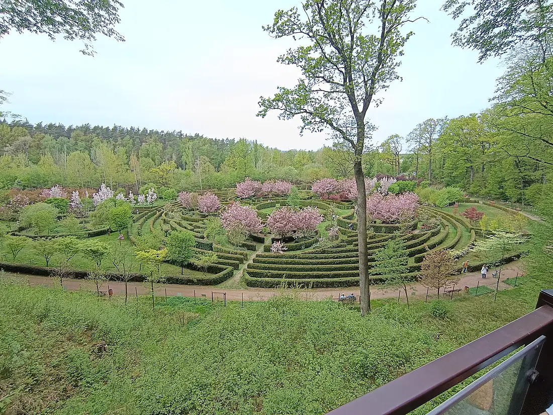 Zaczarowany Ogród z Platformy Widokowe, Arboretum Bramy Morawskiej, Obora, Racibórz, okres Ratiboř