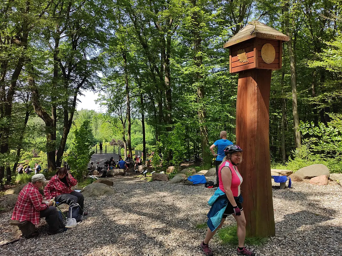 Drzewka Miast Partnerskich, Arboretum Bramy Morawskiej 2