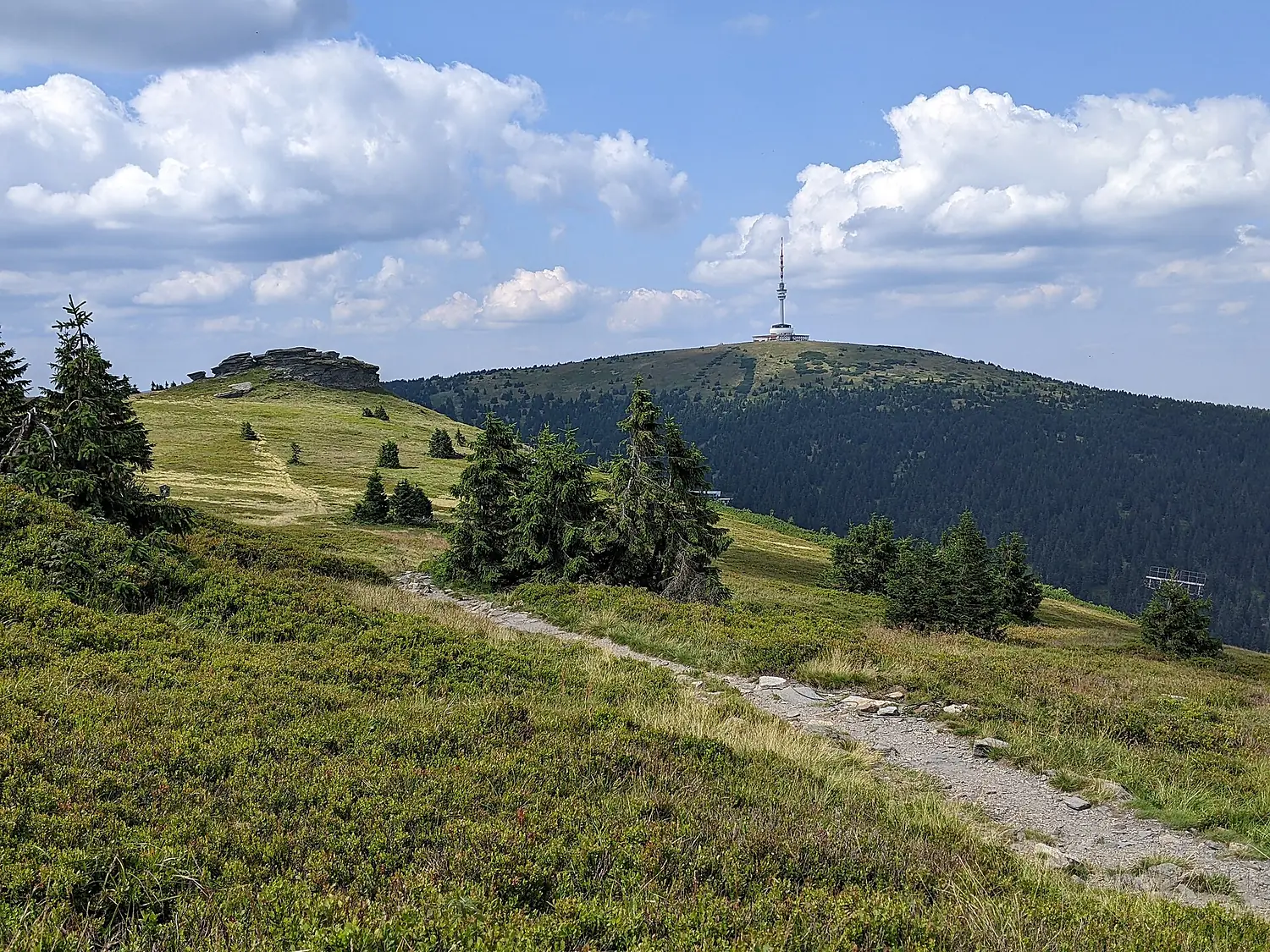 NPR Praděd - vrcholové partie z okolí rozcestí Nad Ovčárnou (červenec 2024) (4)