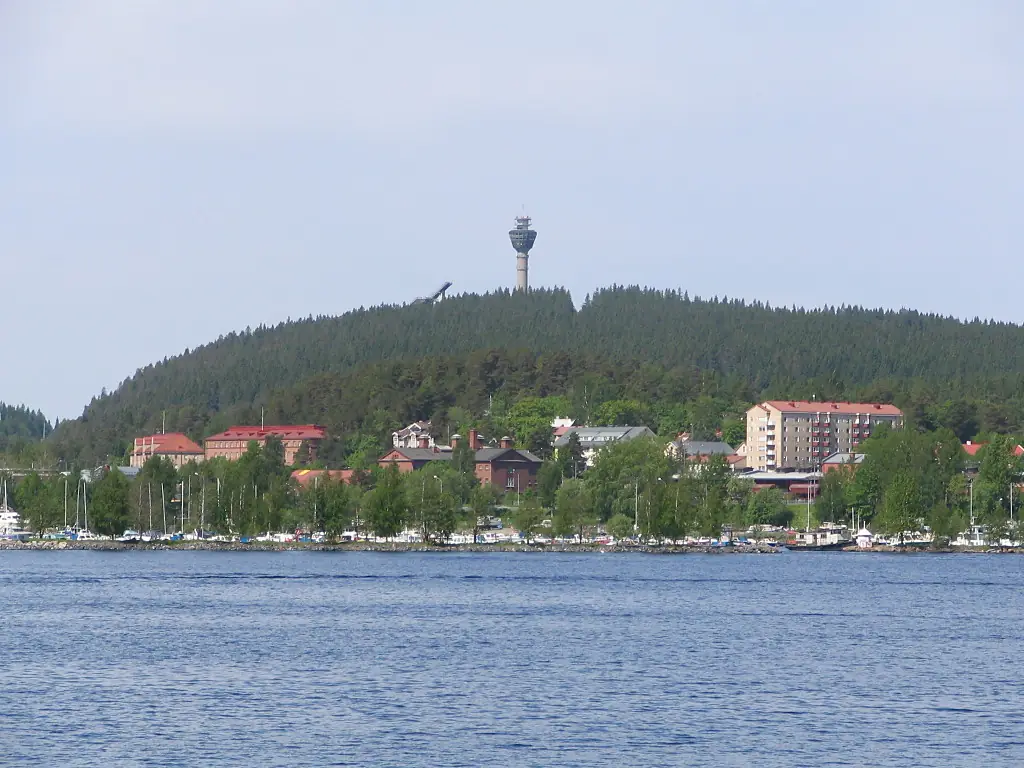 Puijon mäki