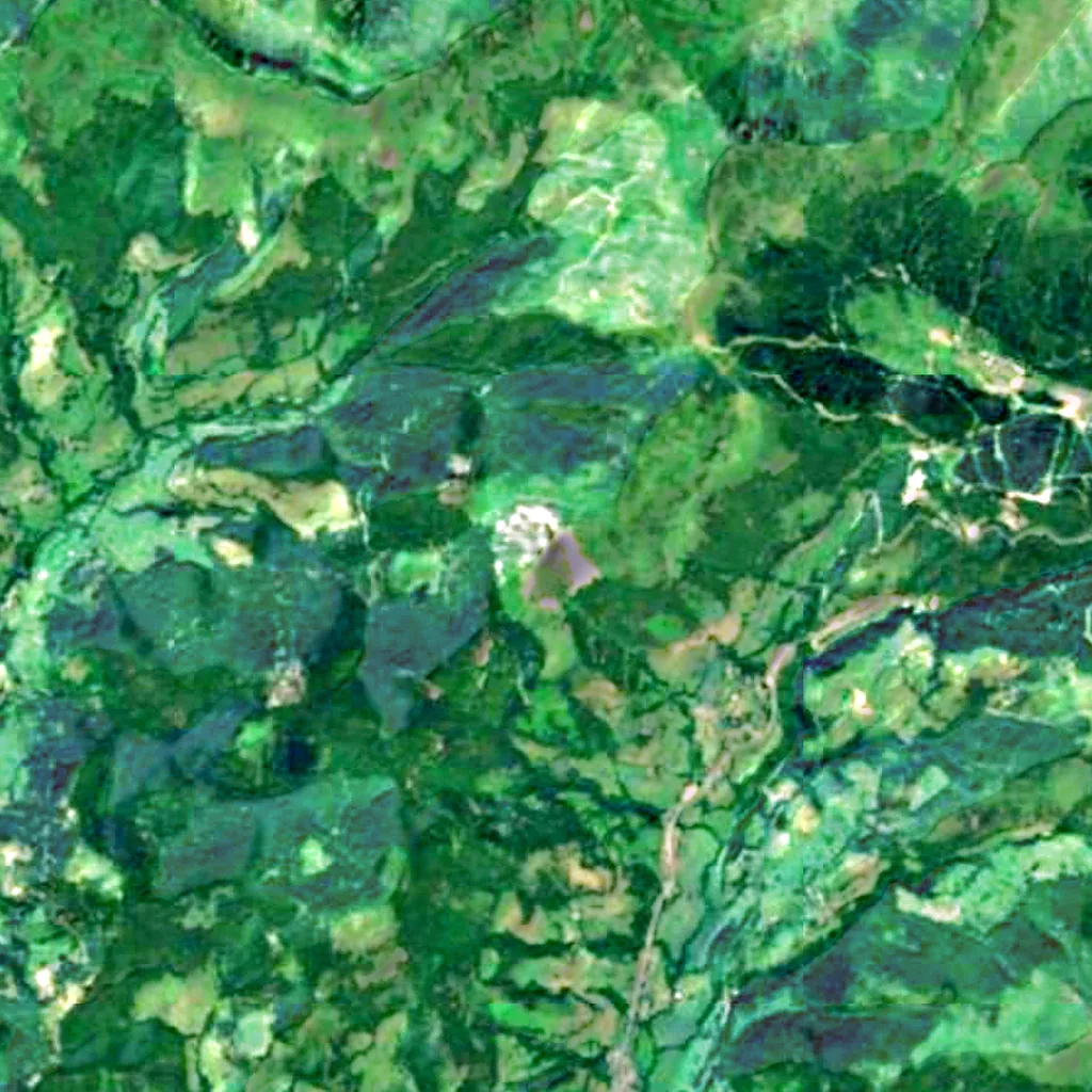 Puy Griou seen from above (Sentinel-2)