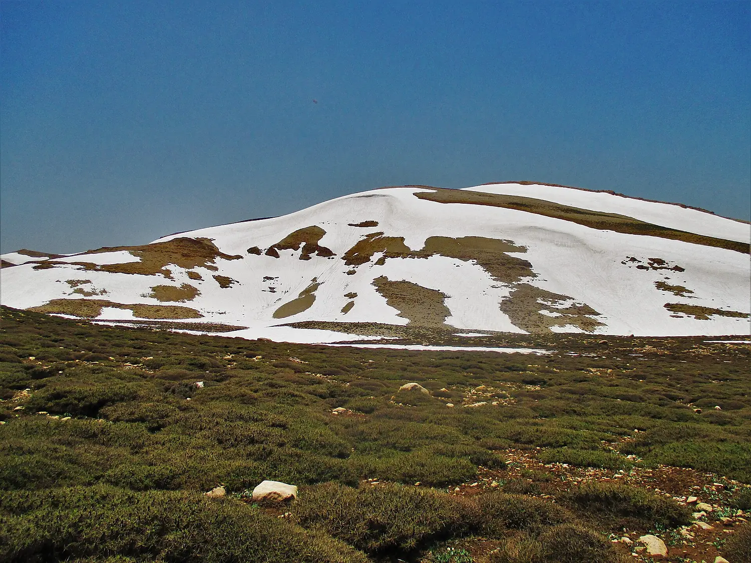 Qurnat as sawda early summer